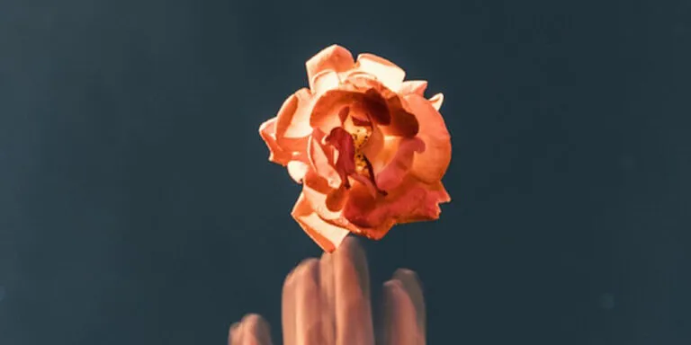 Maximizing Your Profit Margins with Wholesale Vibrator Orders